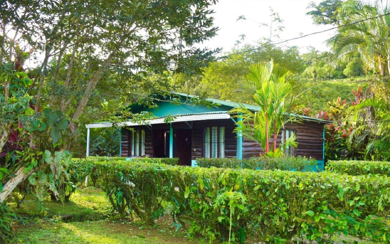 Posada Rio Celeste La Amistad מראה חיצוני תמונה