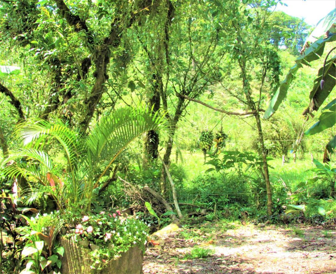Posada Rio Celeste La Amistad מראה חיצוני תמונה