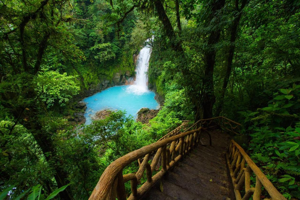 Posada Rio Celeste La Amistad מראה חיצוני תמונה