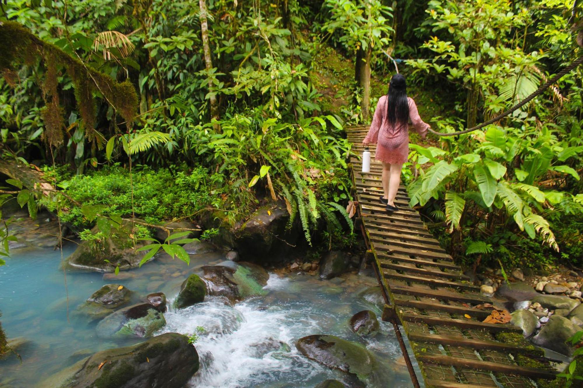 Posada Rio Celeste La Amistad מראה חיצוני תמונה