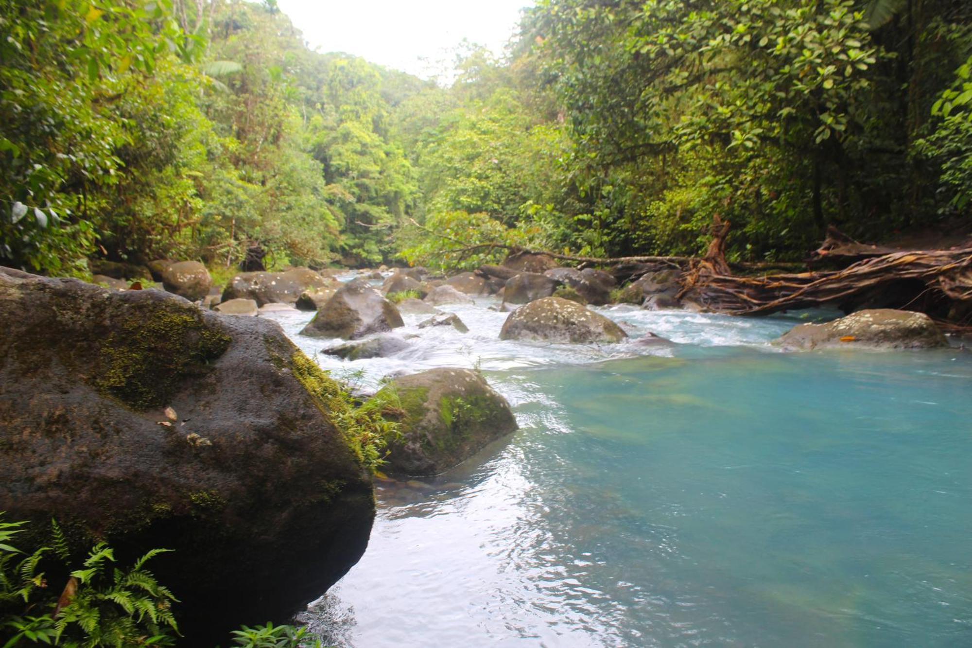 Posada Rio Celeste La Amistad מראה חיצוני תמונה