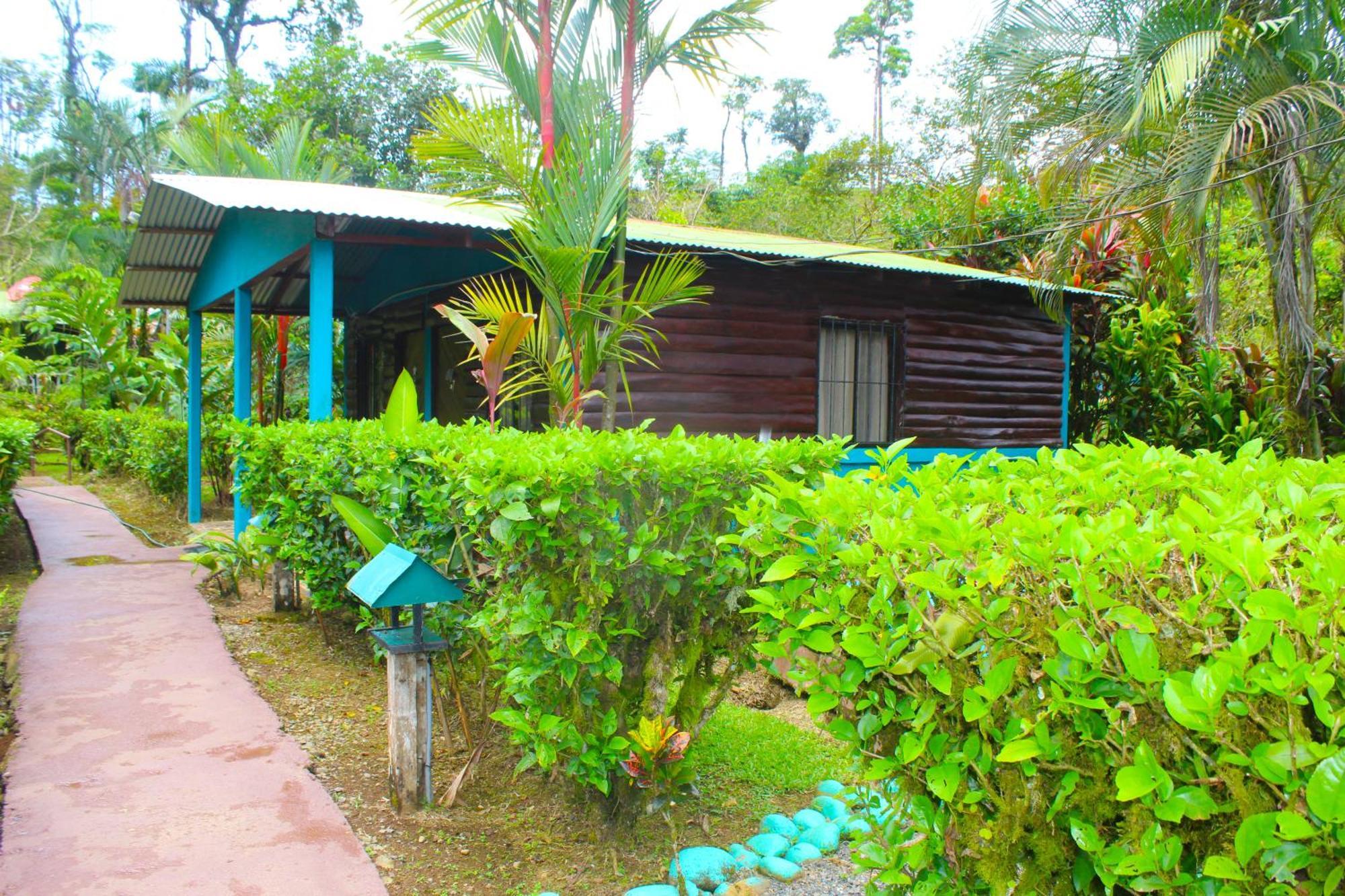 Posada Rio Celeste La Amistad מראה חיצוני תמונה