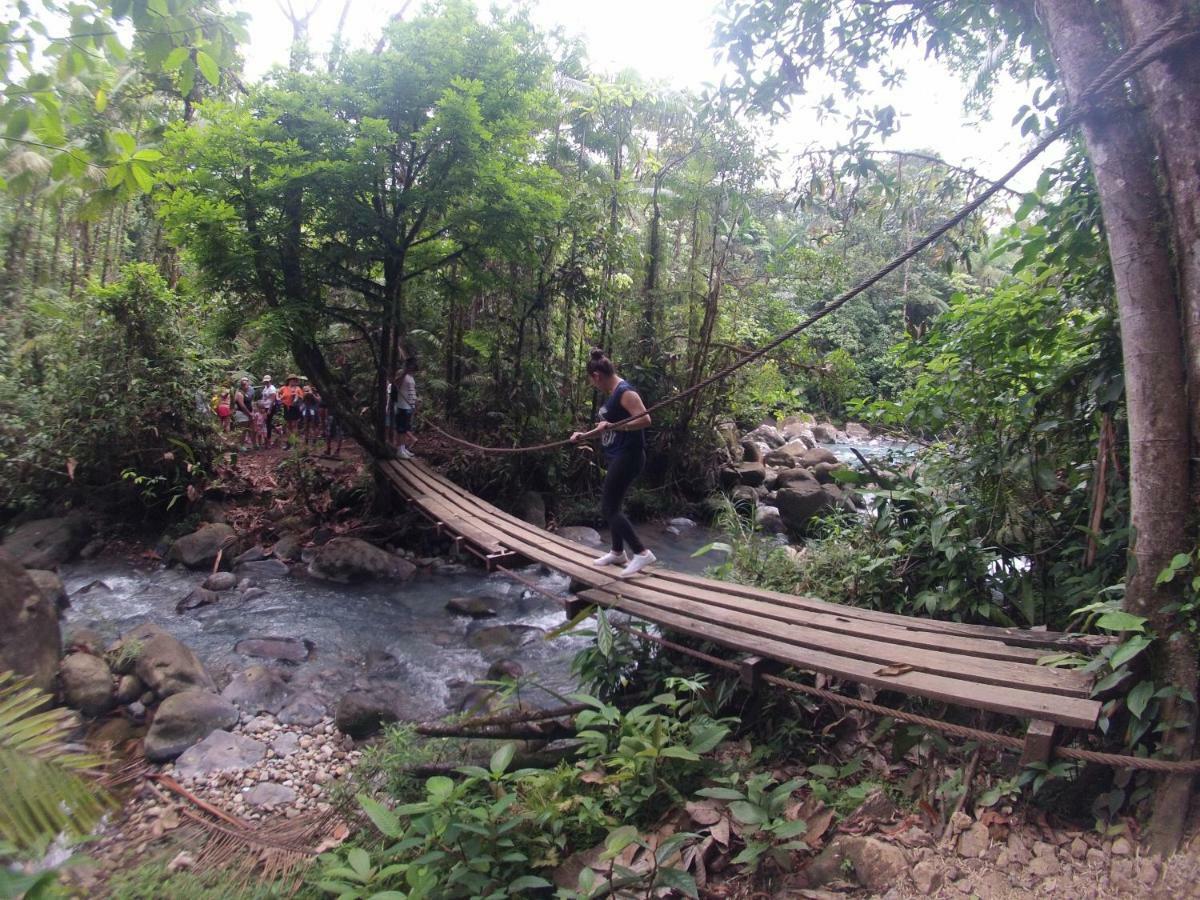 Posada Rio Celeste La Amistad מראה חיצוני תמונה